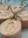 Goats Milk Loofah Soap