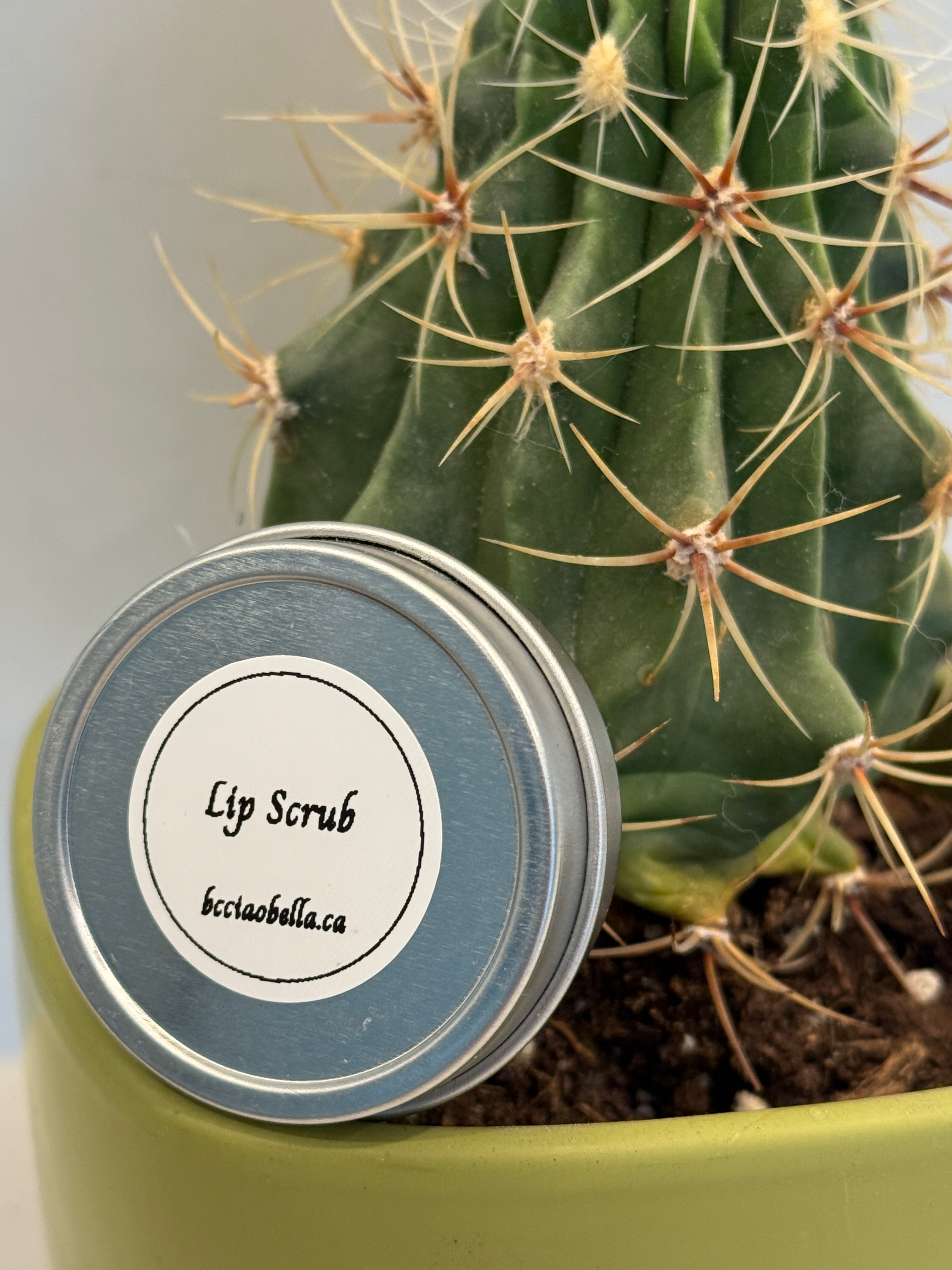 Lip Scrub - 1oz/30ml